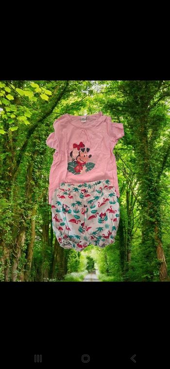 Ensemble Minnie