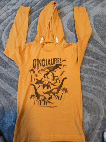 Pull manches longues garçon T.12 ans