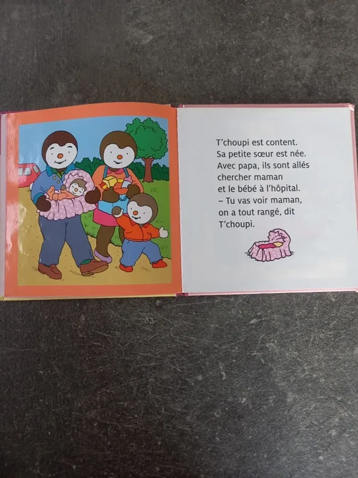 Livre T'choupi a une petite sœur - photo numéro 4