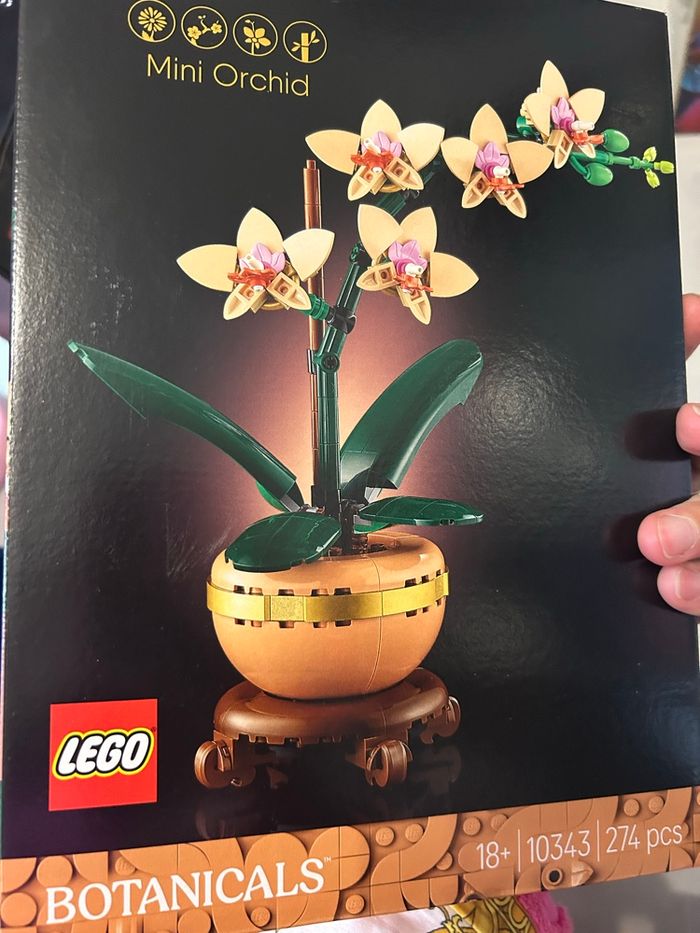 LEGO Botanicals 10343