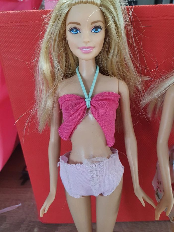 2 barbie - photo numéro 2