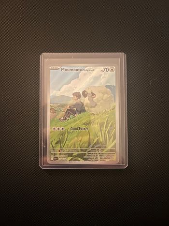 Moumouton de Nabil (JTG 170)