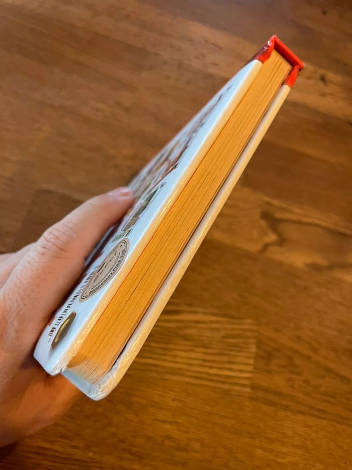 Livre P’tit garçon Le camion de Léon Numéro 1 - photo numéro 6