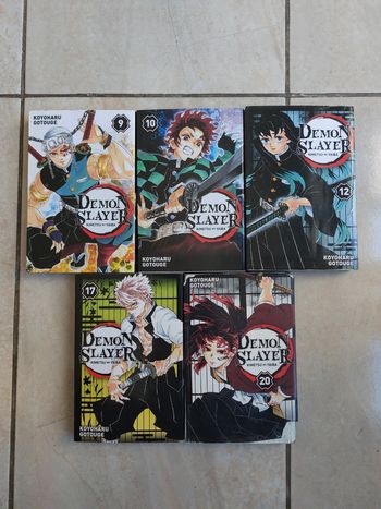 5 Tomes Demon slayer