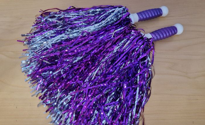 Pompons de cheerleading x 2 - Excellent état