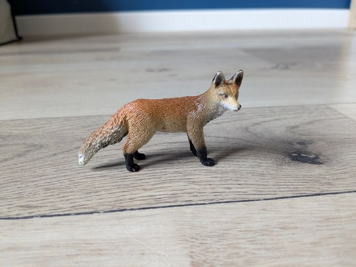 Renard Schleich