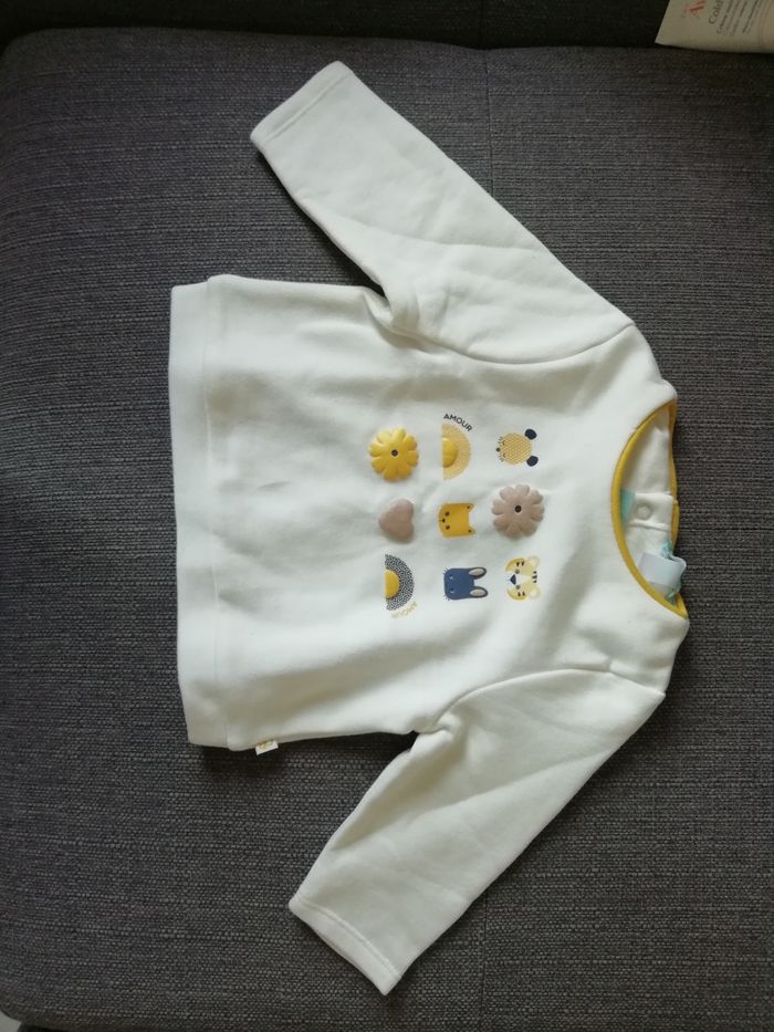 Pull en coton bio