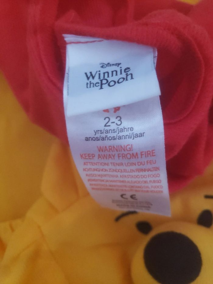 Déguisement WInnie the Pooh - photo numéro 3