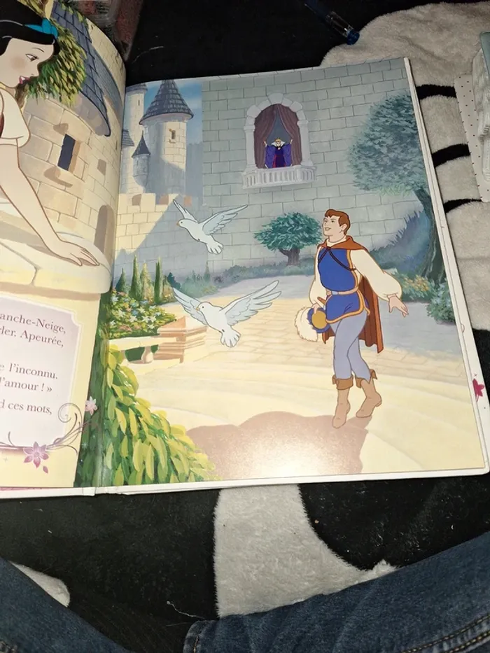 Livre disney - photo numéro 2