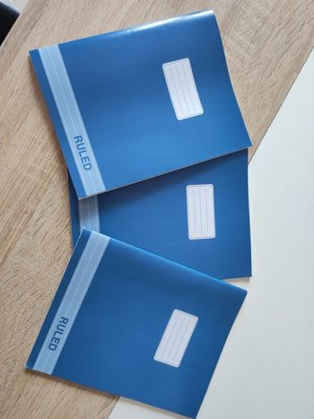 Lot de 3 cahiers petits formats 48 pages. Neufs