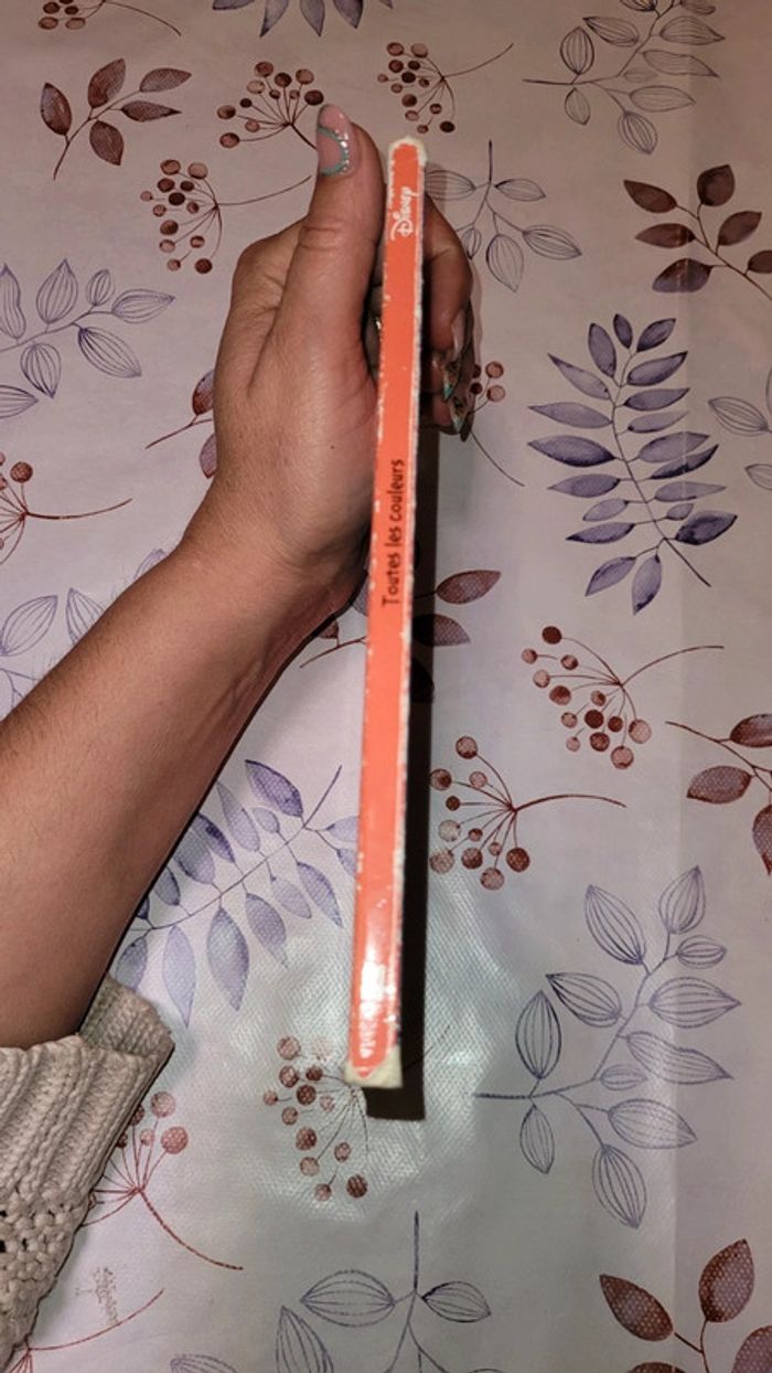 Toutes les couleurs - photo numéro 4