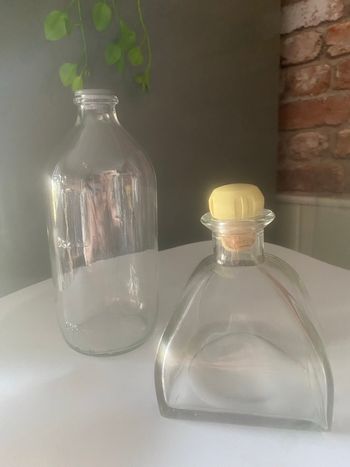 Lot de 2 petites bouteilles 