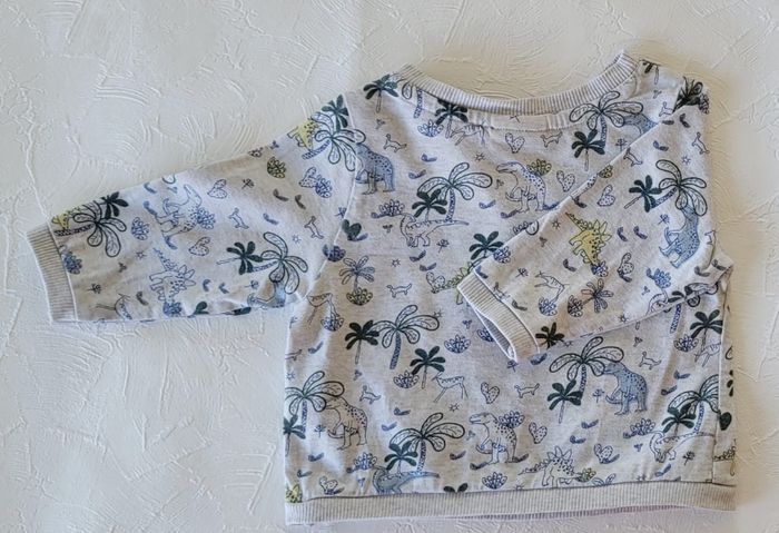 Sweat leger Tape à l'œil dinosaure