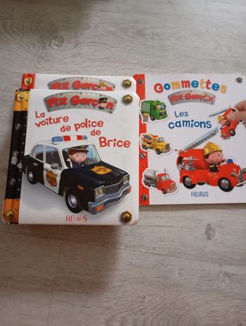 Lot de livres collection p'tit garçon