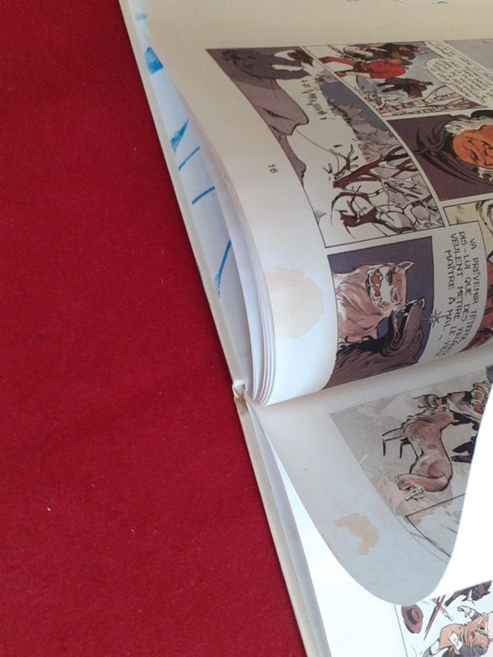 Bd " Le fils du loup " Éric Tetful " éditions Lombard - photo numéro 17