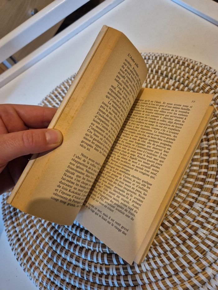 Livre une petite fête pour le coeur de l aube pâle - photo numéro 4