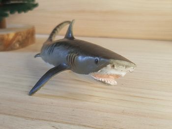 Safari Requin Figurine animal de la Mer