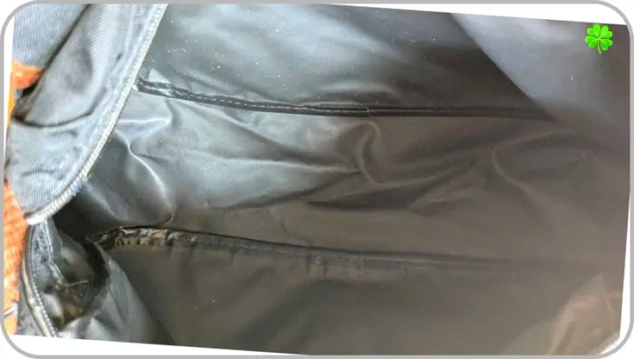 Sac à bandoulière Longchamp Vintage - photo numéro 8