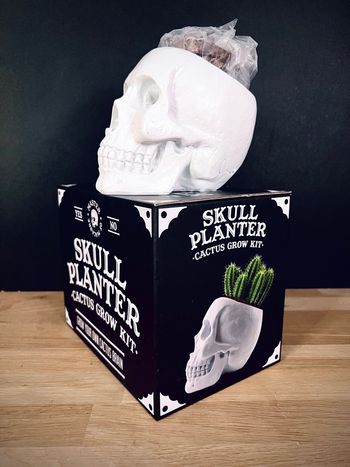 Skull Planter – Cactus Grow Kit – Pot tête de mort – Neuf