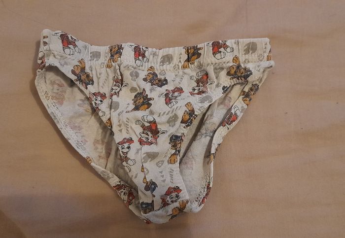 Lot de 6 slips pat patrouille - photo numéro 5