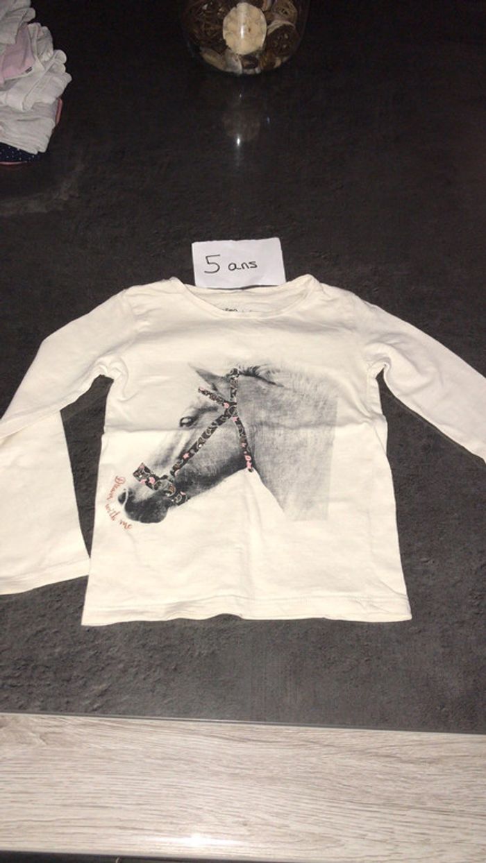 Teeshirt manches longues cheval