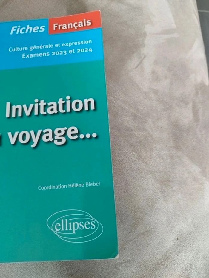Lot de livre Initiation au voyage - photo numéro 5