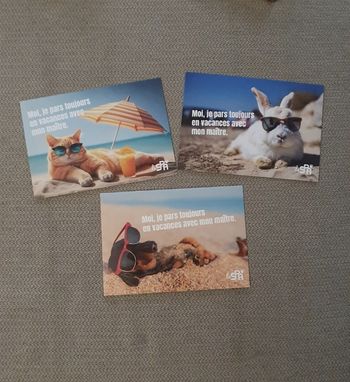 Lot de 3 cartes postales animaux neuves