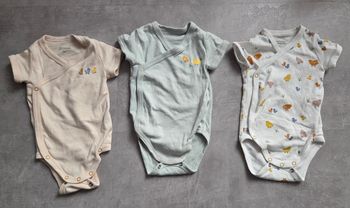 Lot de 3 bodies bout'chou 3mois
