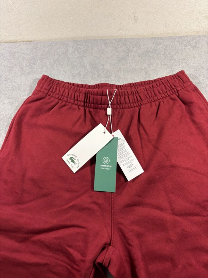 Jogging Lacoste Logo brodé Bordeaux Taille S - photo numéro 3