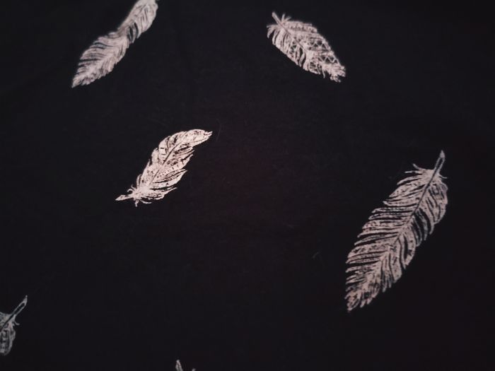 Short pyjamas plumes 100% coton en très bon état - photo numéro 2