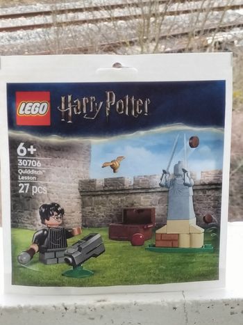 Lego Harry Potter la leçon de quidditch 