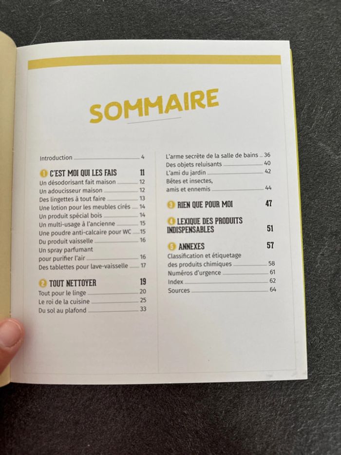Lot 2 livres- jardiner sans efforts + nettoyer au citron - très bon état - photo numéro 16