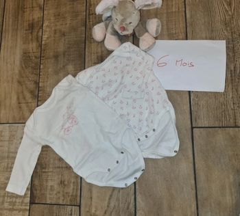 Lot de 2 bodies bébé fille