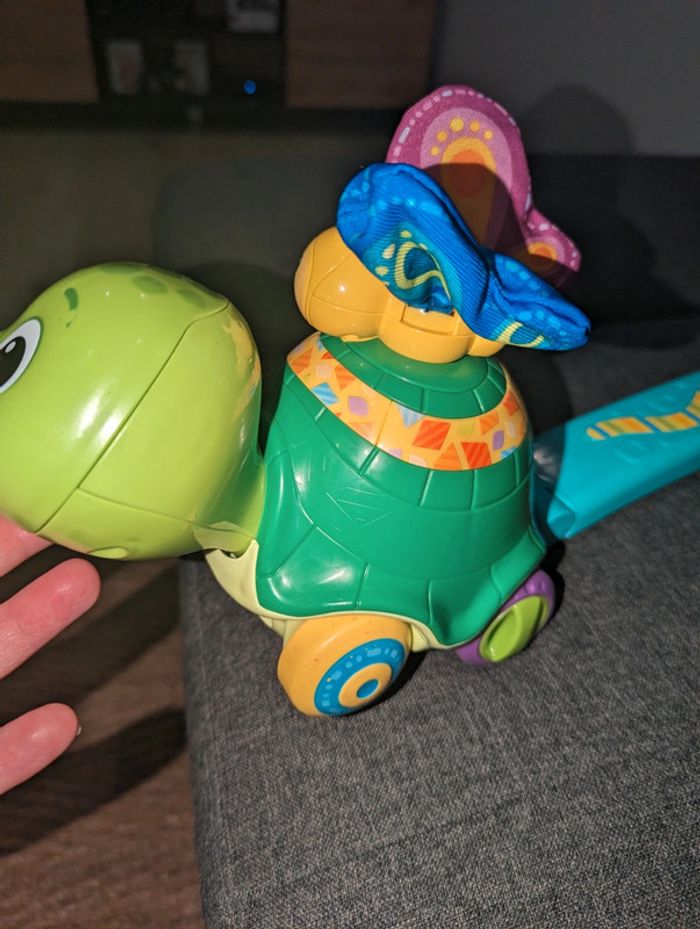 Tortues pouss pouss - photo numéro 3