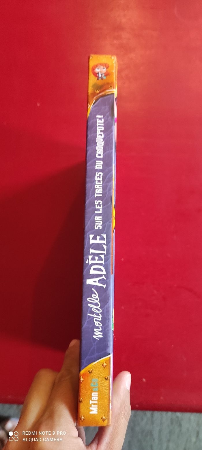 Mortelle Adèle sur la trace du croquepote - photo numéro 3
