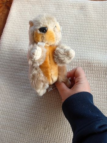 Peluche marmotte