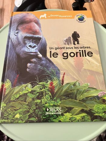 Livre un géant sous les arbres, le gorille