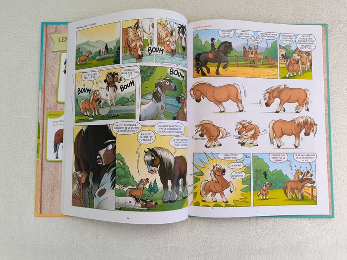 Livre À cheval 2 Delcourt - photo numéro 5