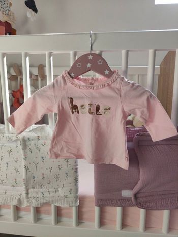 Lots de 2 t-shirts manches longue et 2 bodies