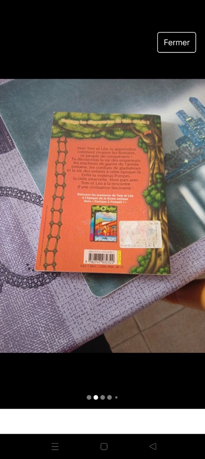 Les carnets de la cabane magique 8 - photo numéro 2