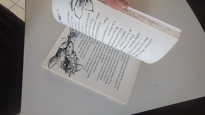 Livre enfant - photo numéro 6