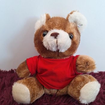 Ourson en peluche