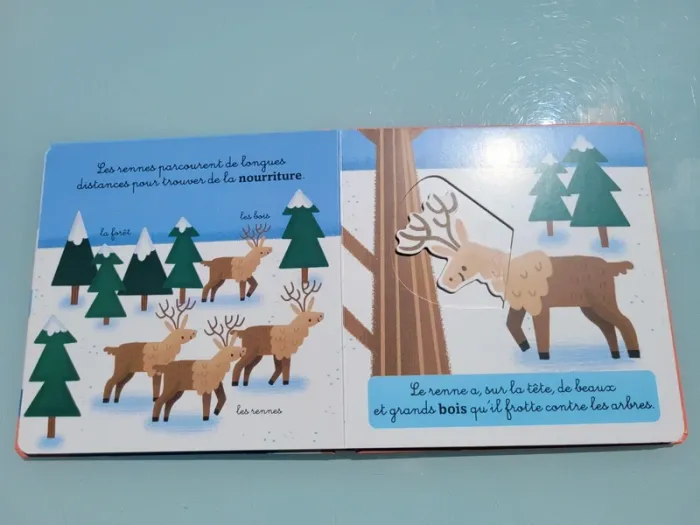 Livre animé à tirettes et roues  🦭 Les Animaux du Froid 🐧 58 - photo numéro 6
