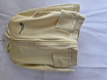 Gilet zippé capuche 36 mois Kiabi Jaune pâle Broderie Take care of my planet avec palmier