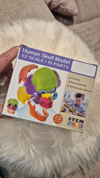 Mini crâne en 15 pièces