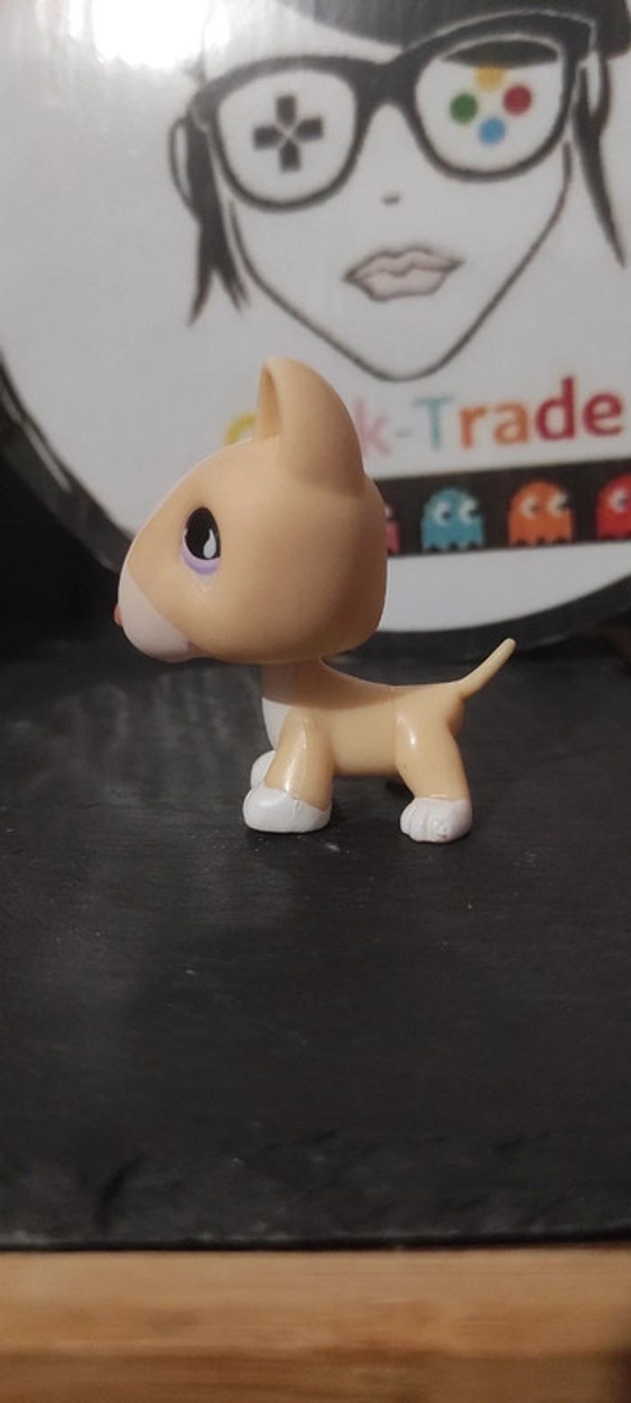 My Littlest Petshop Pet Shop LPS Bull Terrier 860 hasbro dog Yellow Purple Chien - photo numéro 5