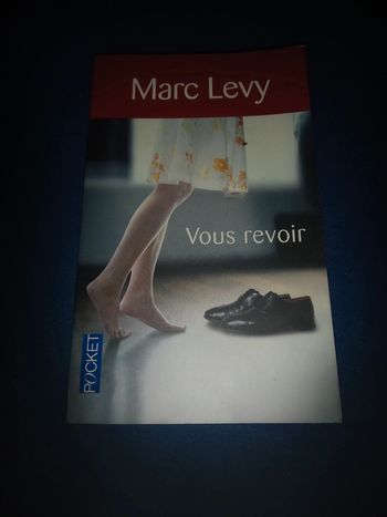 Livre Marc Levy vous revoir
