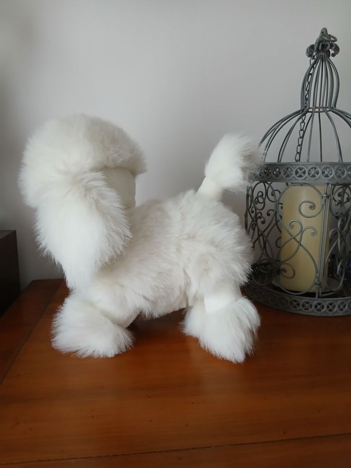 Peluche Caniche Royal  *29 cm - photo numéro 3