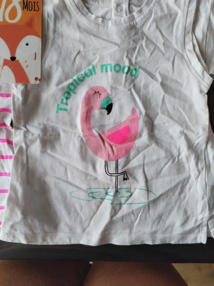 Lot de 4 t-shirts manches courtes - photo numéro 2