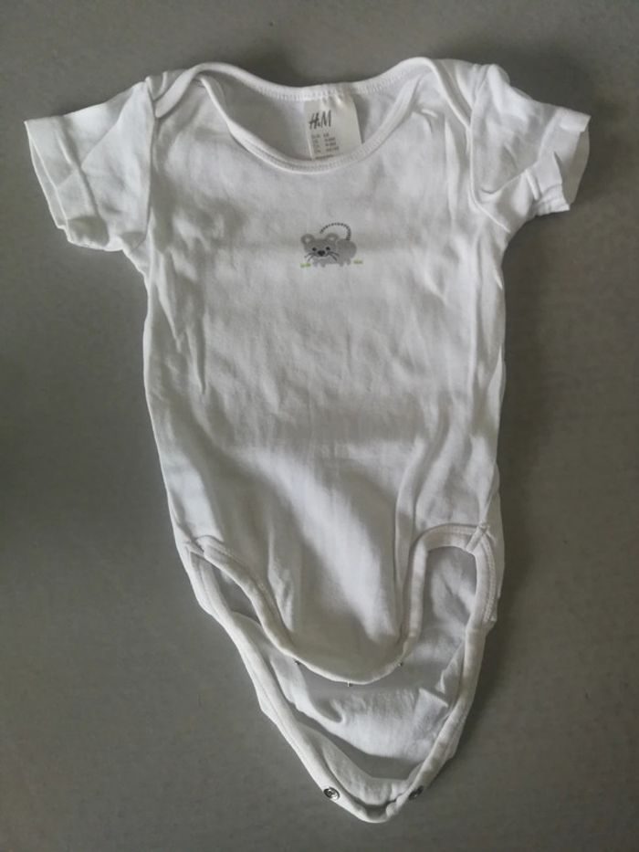 Lot de 4 bodies manches courtes fille été 6 mois - photo numéro 5